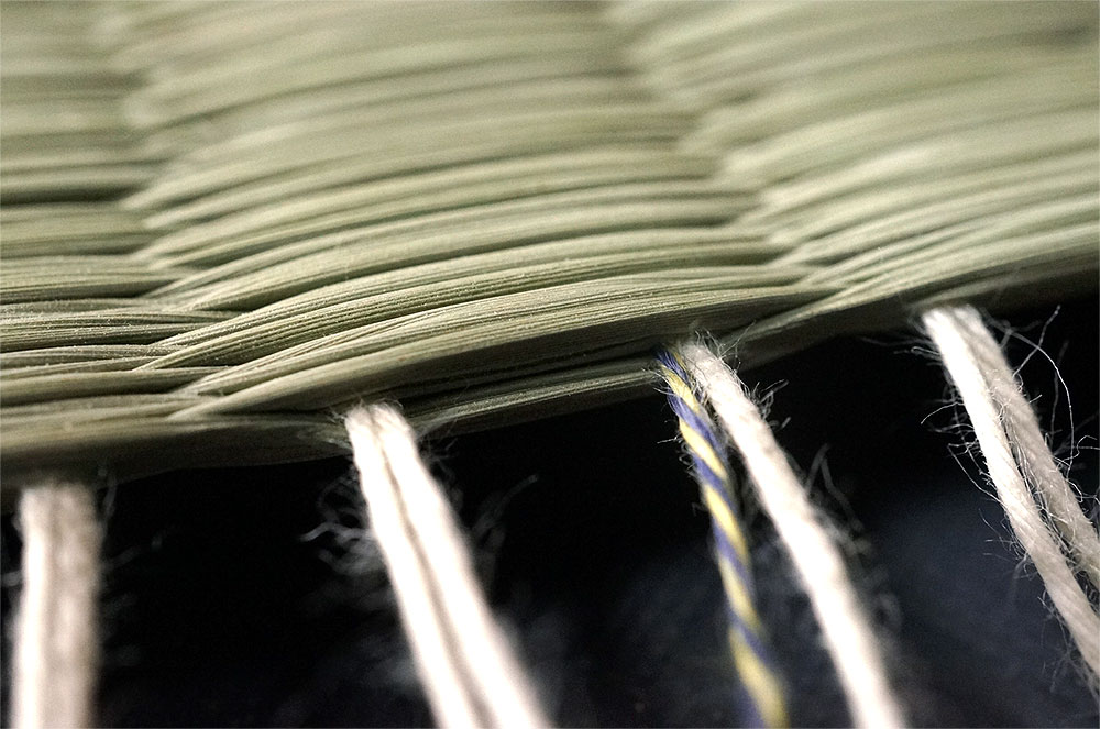 国産畳表:綿綿ダブル