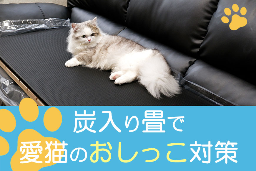 炭入り畳で愛猫のおしっこ対策