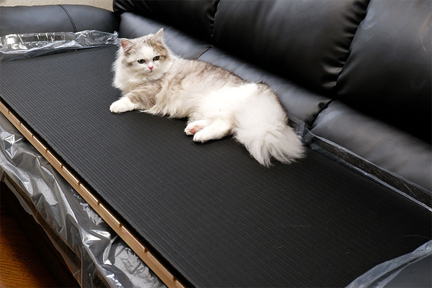 炭入り畳で愛猫のおしっこ対策