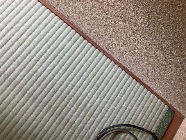 畳と畳寄せの隙間を捕囚